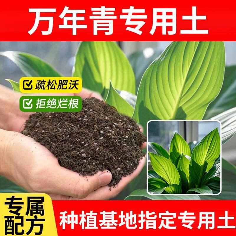 万年青专用土室内养花专用土花草通用家庭营养土栽培土多肉土花土