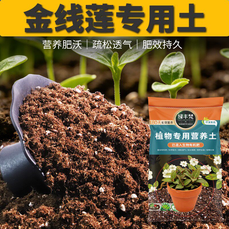 金线莲专用轻质土温和基质盆栽土温和不烧根促进透气无草籽多肉