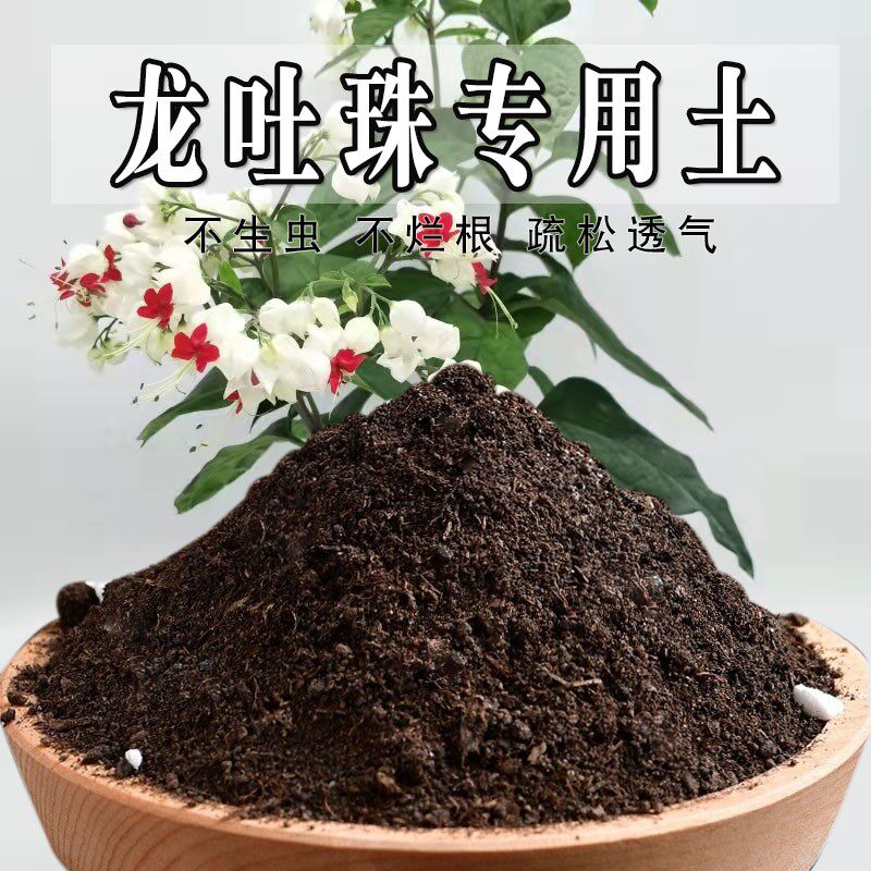 龙吐珠专用土盆栽养花种花土龙吐珠营养土通用型有机肥料种植土壤