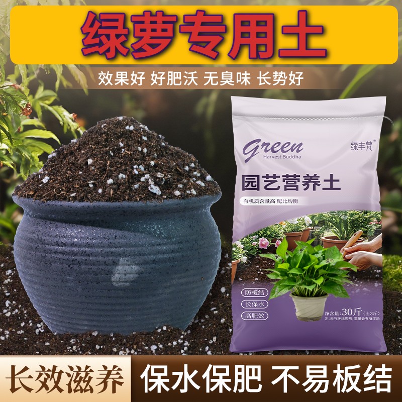 绿萝适用栽培土不板结扦插加牛粪进口促生长观叶高温灭菌无菌喜酸