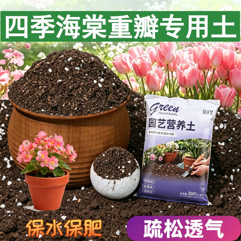 四季海棠重瓣专用种菜土不板结盆栽加深生根粉无菌防黄叶喜酸园艺