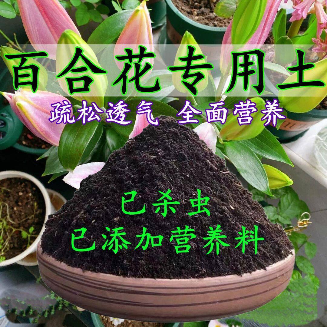百合花专用土百合花专用营养土盆栽土养花种花土通用种植土壤肥料