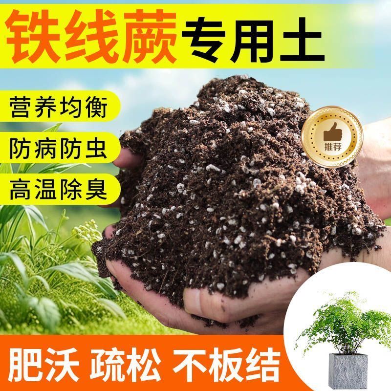 铁线蕨种植土壤专用营养土种花养花土多肉育苗土兰花盆栽土壤肥料