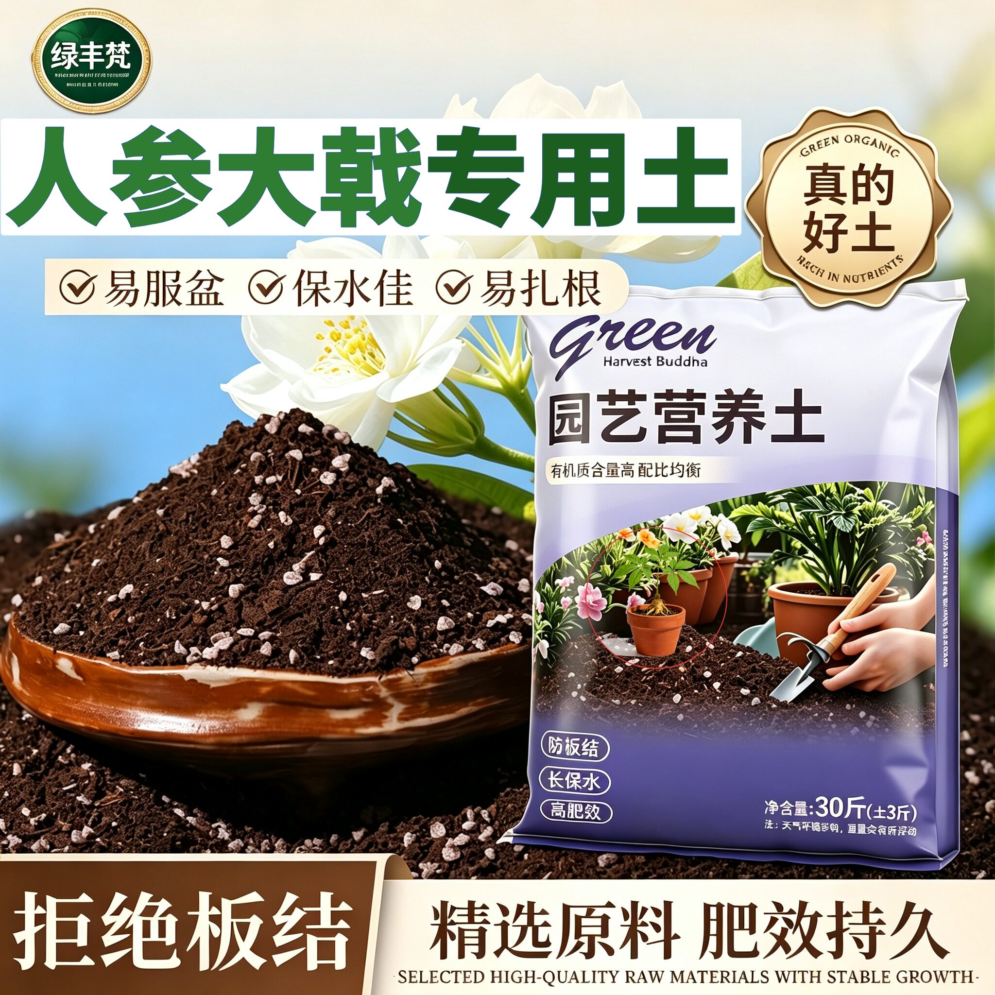 人参大戟专用种植土保水锁肥菜园加深生根粉精选增色木本盆景土