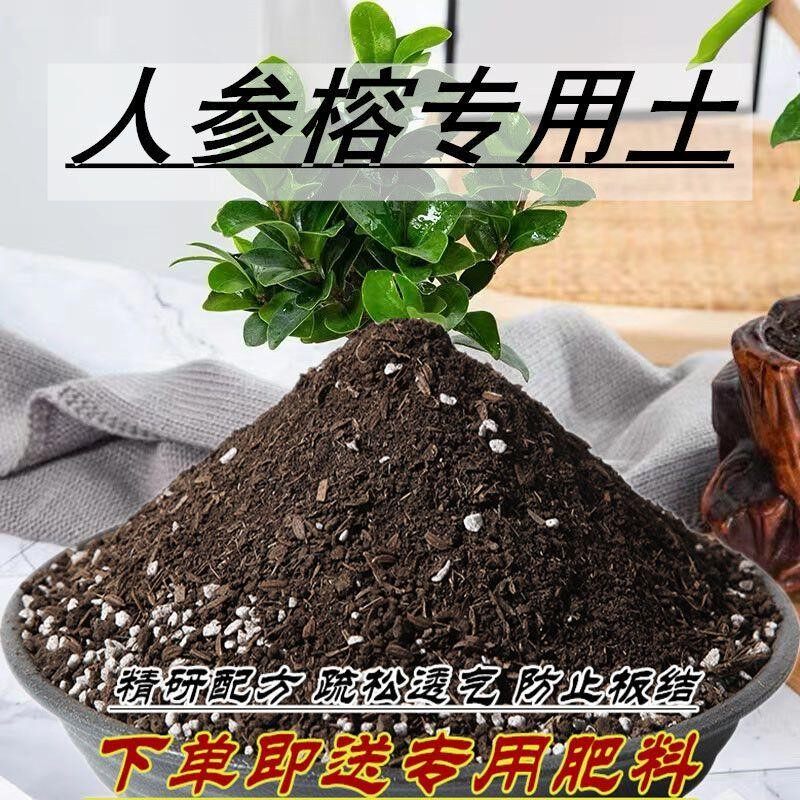 人参榕专用土人参榕专用营养土通用型家用透气养花种菜土壤