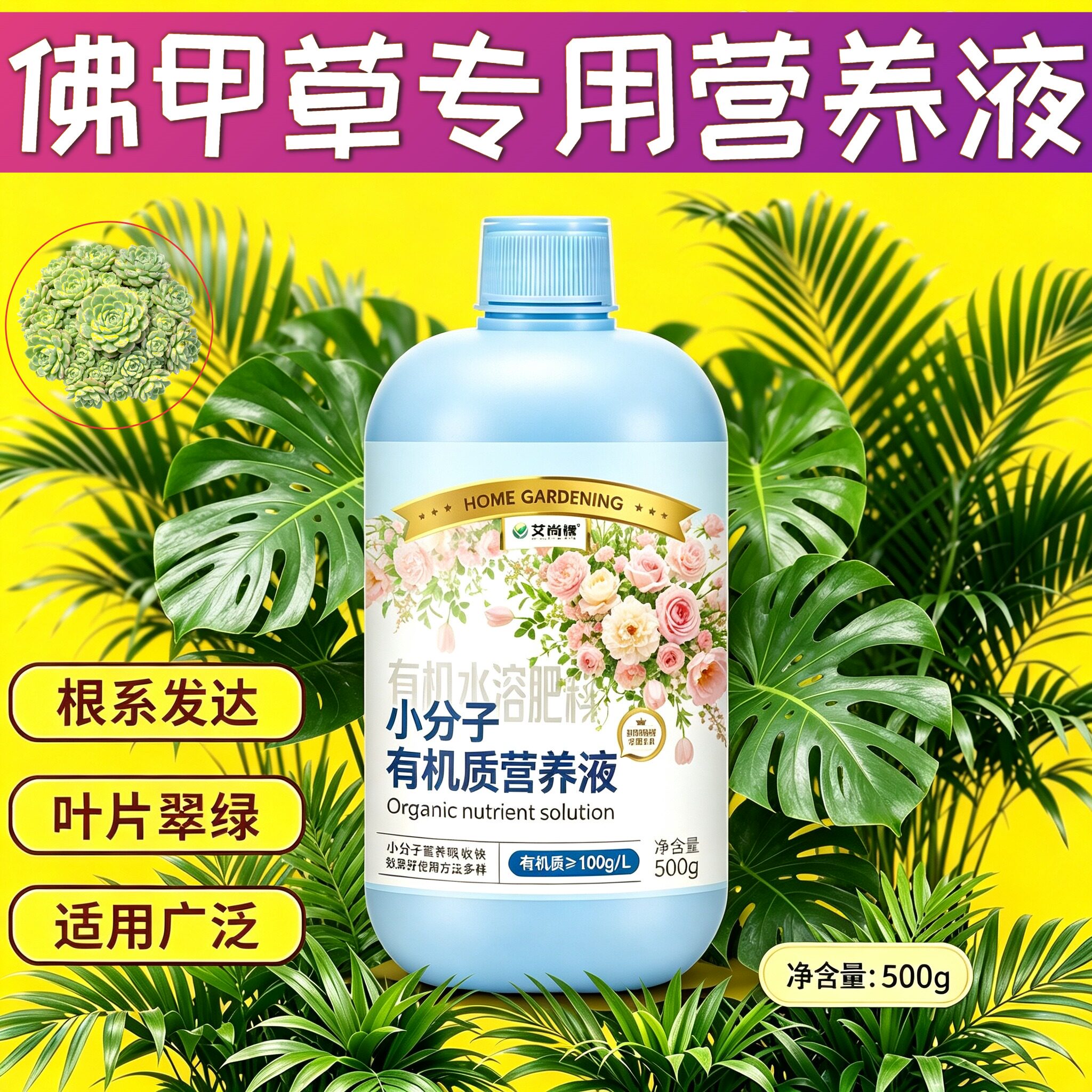 佛甲草专用小分子营养液小分子有机质快速吸收盆栽适用浓缩高效