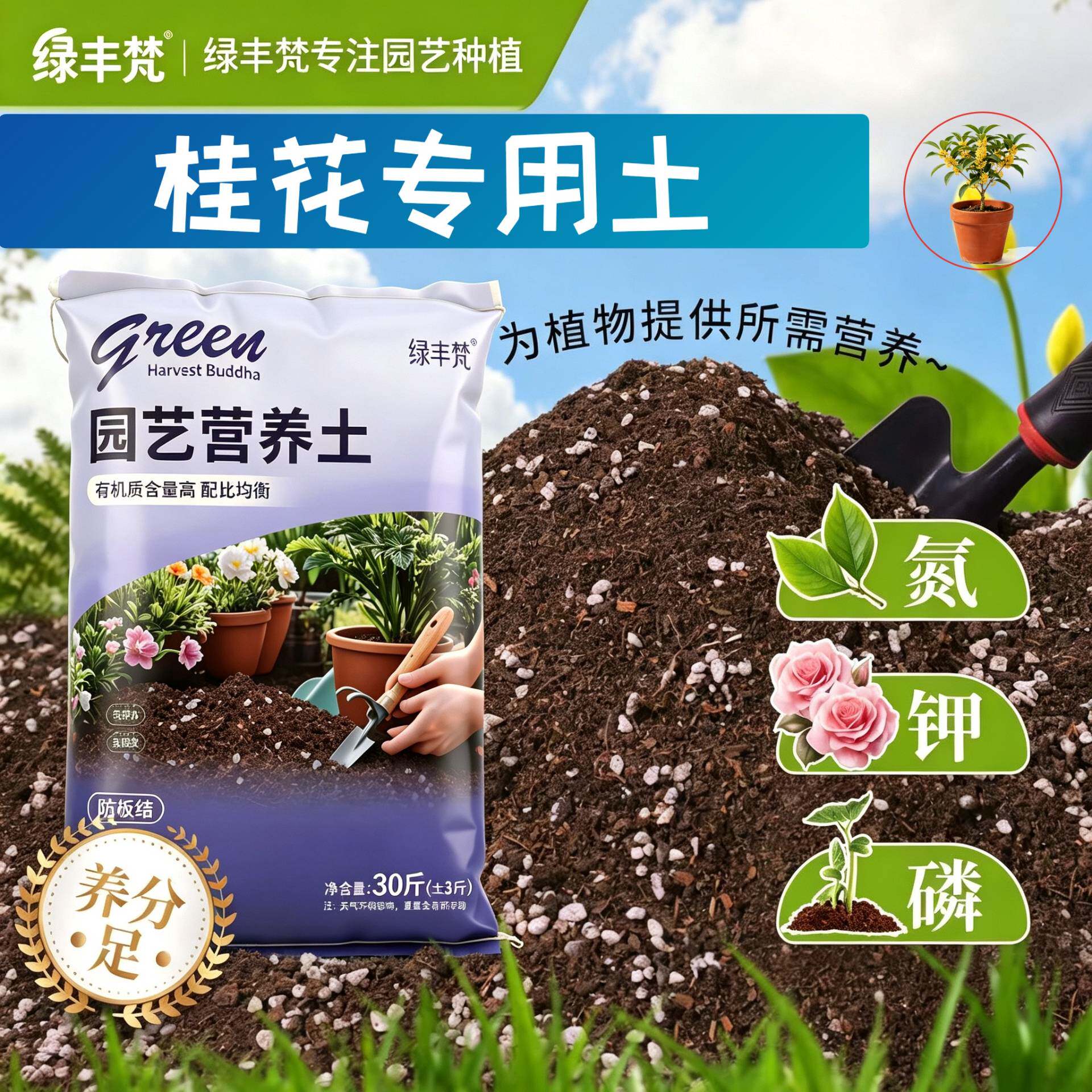 桂花专用种菜土加珍珠岩疏松透气室内包邮优质绿叶木本不闷根多肉