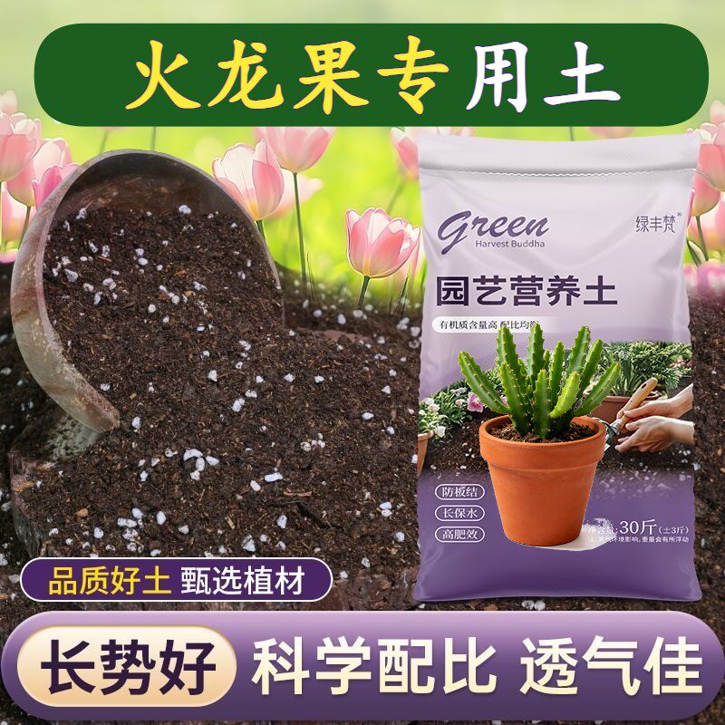 火龙果专用进口泥炭土根壮苗好加珍珠岩加深生根粉无菌促生长木本