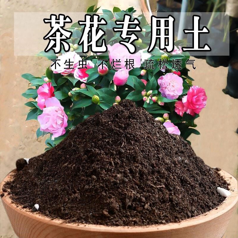 茶花专用土山茶花专用营养土盆栽土养花种花土通用种植土有机肥料