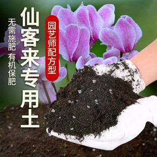 仙客来专用土肥料植物种植养花有机土家庭绿植土花盆仙客来营养土