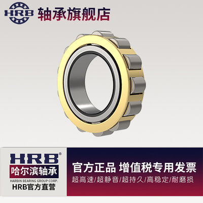 HRB哈尔滨整体偏心轴承RN307EM老代号502307尺寸35mm*68.2mm*21mm