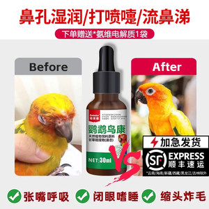 鸟用感冒炸毛咳嗽专用玄凤鹦鹉