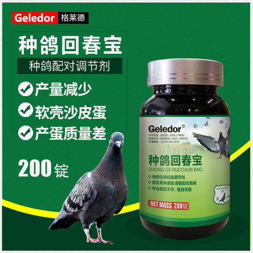 格莱德种鸽回春宝加速繁殖下单不
