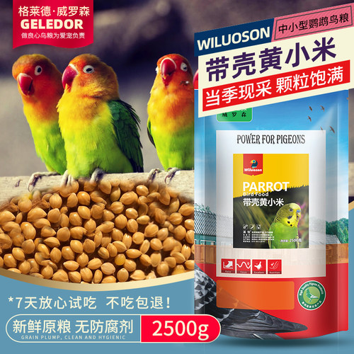 格莱德鹦鹉带壳黄小米鸟粮饲料