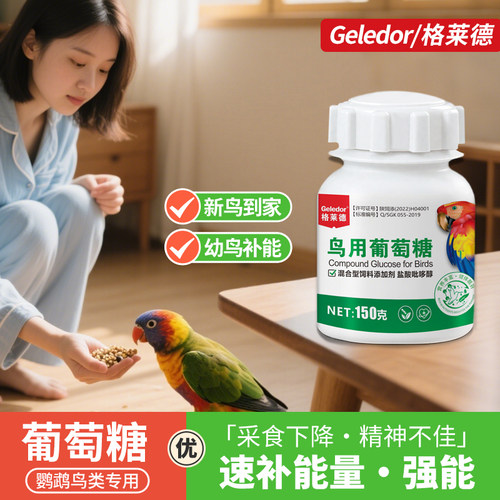 鹦鹉鸟用玄凤常备能量调理葡萄糖