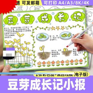 植物生长观察日记小学生记录表线稿 豆芽成长记手抄报电子模板