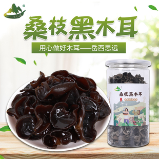 桑木耳产地直供安徽岳西大别山特产干货桑枝黑木耳150克罐装