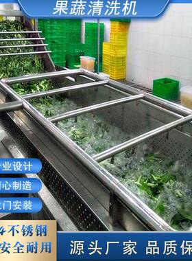 大型果蔬气泡清洗机豆角秋葵水浪喷淋清洗设备净菜加工洗菜机