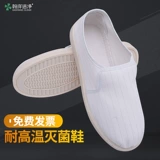 Hanyang Clean и анти -статическая обувь без пыли.