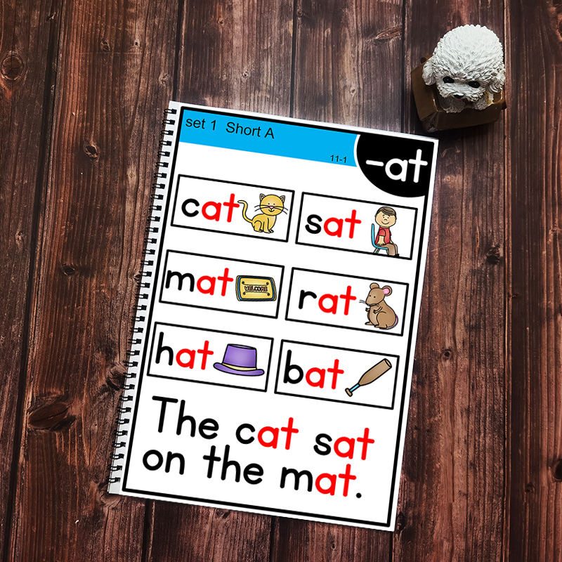 phonics英语自然拼读句子卡片