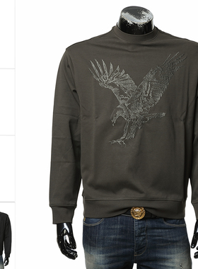 Armani/阿玛尼AX男士时尚休闲刺绣鹰标套头圆领卫衣6DZMAE ZJKBZ