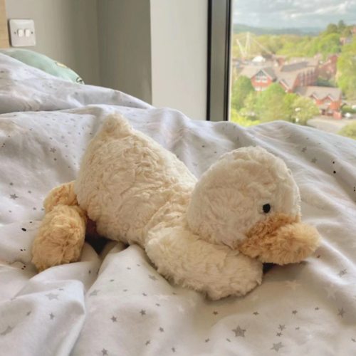 网红趴趴布利鸭子毛绒玩具可爱动物玩偶儿童抱枕宝宝公仔娃娃礼物