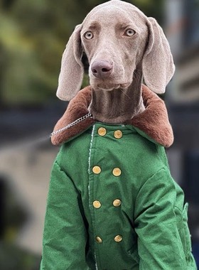 宠物狗狗大型犬冬季棉袄加厚保暖绿色棉大衣萨摩拉布拉多金毛棉衣