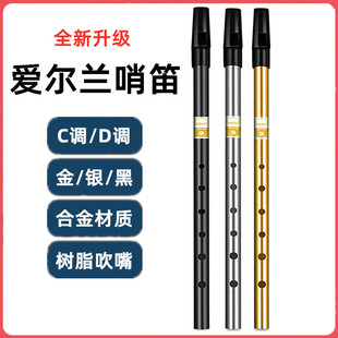 爱尔兰哨笛d调c调树脂吹嘴合金笛直管西洋乐器6孔竖笛初学者入门