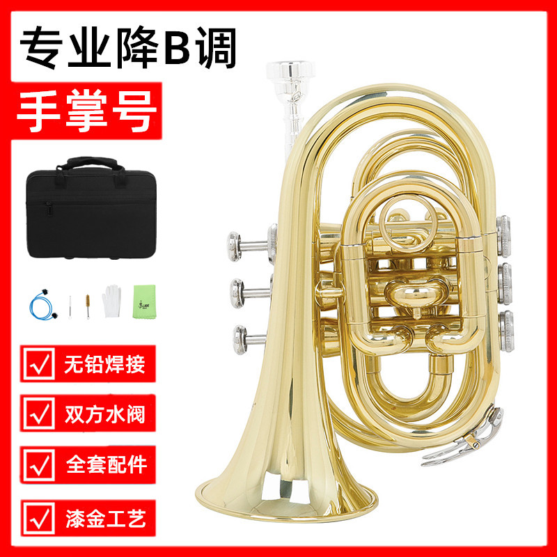 手掌号铜管乐器便携式降B调