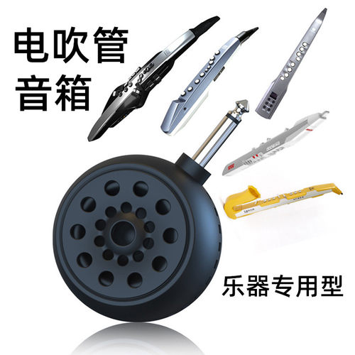 电吹管专用音箱多功能直插小音箱