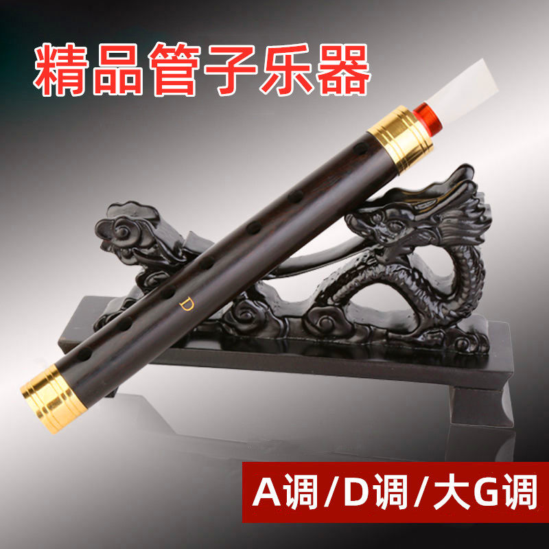 管子乐器专业版A调D调大G调