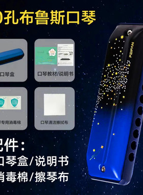 布鲁斯口琴10孔12孔十二孔paddy成人初学专业演奏级ABCDEFG调乐器