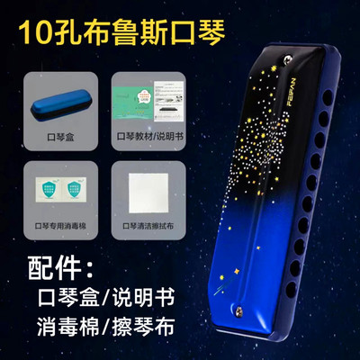 布鲁斯口琴10孔12孔十二孔paddy成人初学专业演奏级ABCDEFG调乐器