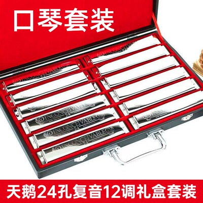 口琴套装24孔7只12支装口琴#ABCDEFG套盒学生成年人演奏吹奏乐器