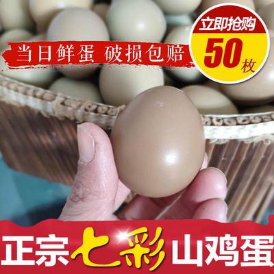 正宗七彩山鸡蛋50枚新鲜  当天现捡现发 孕妇宝宝辅食散养土鸡蛋
