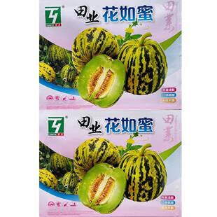 花如蜜八里香花姑娘甜瓜种子绿肉甜脆多汁易种植好管理阳台庭院