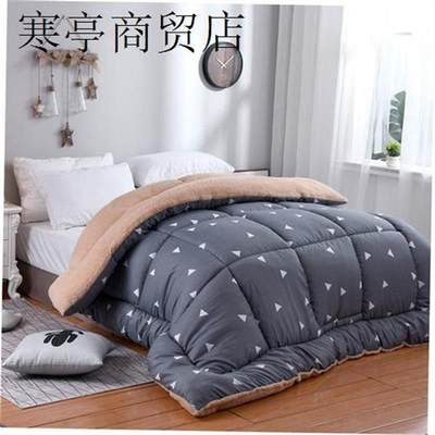 Winter Super Warm Flannel Comforter Duvet Quilt Blanket beds