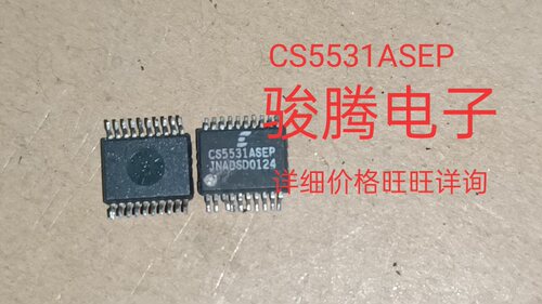 进口现货供应CS5531-AS  CS5531ASEP  SSOP20   可直拍