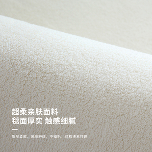 卧室地毯床边毯高级感主卧床前毯纯色整铺房间毛绒地垫客厅茶几毯