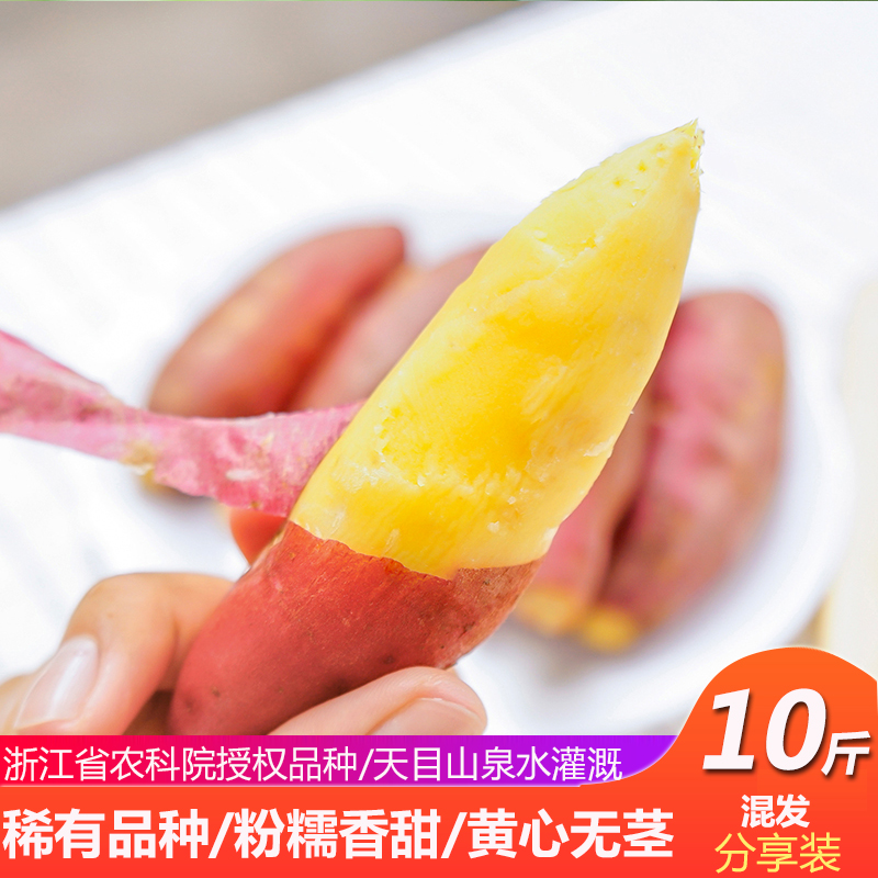 大小混发10斤临安天目山小香薯红薯新鲜蜜薯地瓜省农科院授权品种