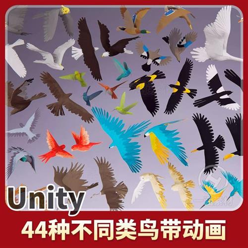 unity3d卡通低Q模鸟类模型动画LowPoly Bird Ultimate Pack 1.3.0