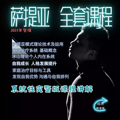 萨提亚课.程 视.频培训教.程冰山理论家庭治疗c自我成长心理教学
