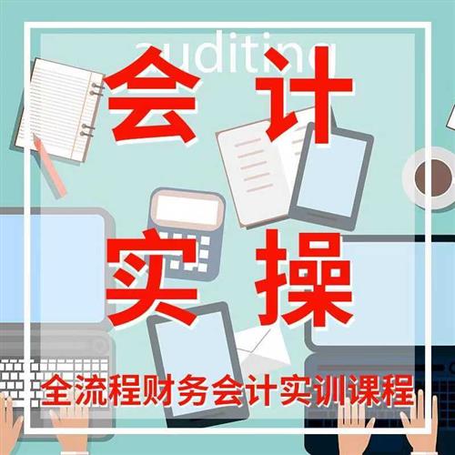 2025会计实务做帐报税真账实训实操零基础V课.程出纳模拟软件系统