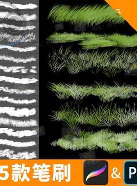 ps笔刷青草草地青苔绘画林业绿化Procreate画笔素材Hipad绘画B411