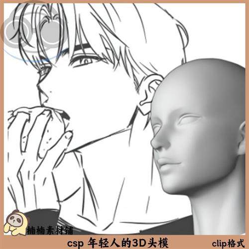 csp 年轻人的3D头模 clip格式 3D模P型素材 clipstudiopaint
