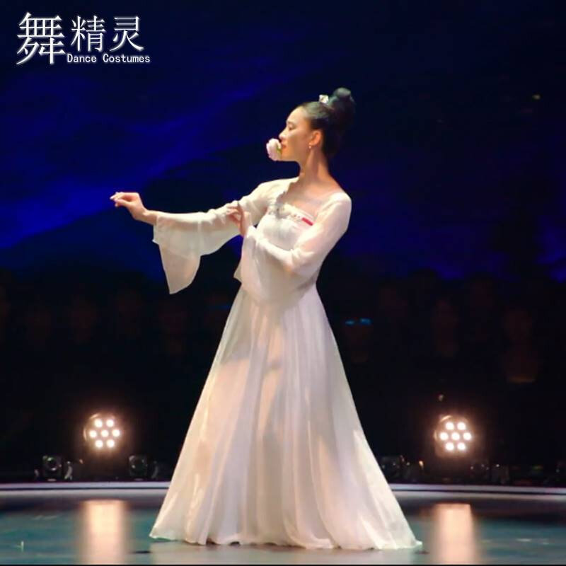 古典舞汉唐舞蹈演出服华宵一同款长相思舞蹈服纱裙飘逸长