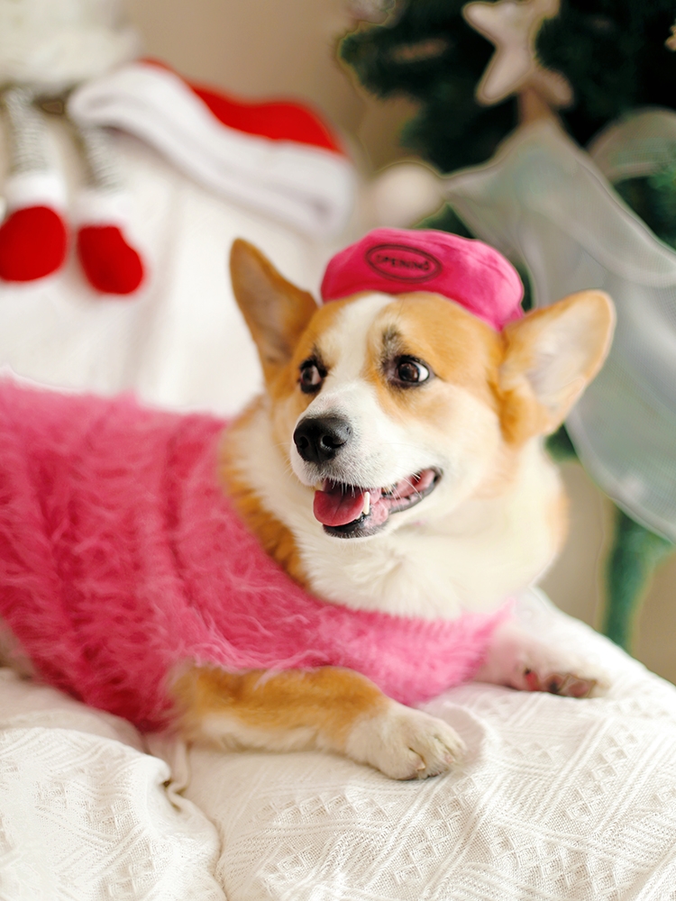 宠物狗狗衣服皮草胖狗加厚加绒ins风贵妇芭比粉秋冬保暖背心柯基