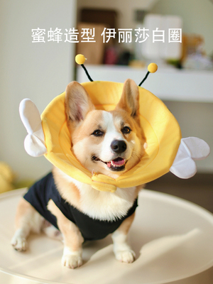 宠物狗狗柯基蜜蜂造型伊丽莎白圈