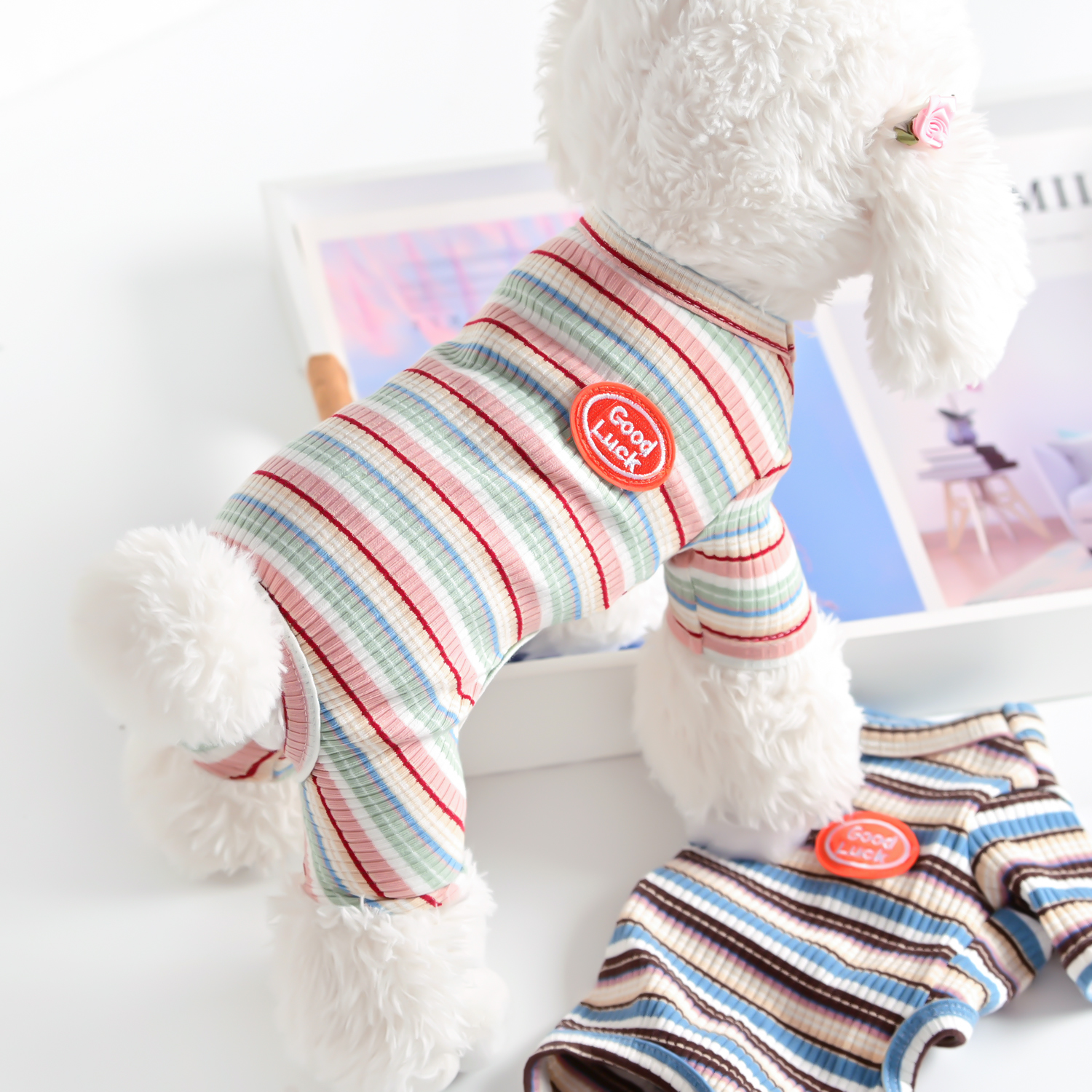 舒适宠物泰迪比熊小狗狗衣服四脚春秋夏天薄款打底衫纯棉家居睡衣