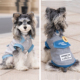 薄款 宠物猫咪泰迪比熊雪纳瑞小狗狗衣服帅气牵引牛仔背心春装 夏季